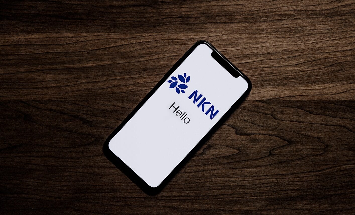 NKN Monthly Report - January 2021 | NKN