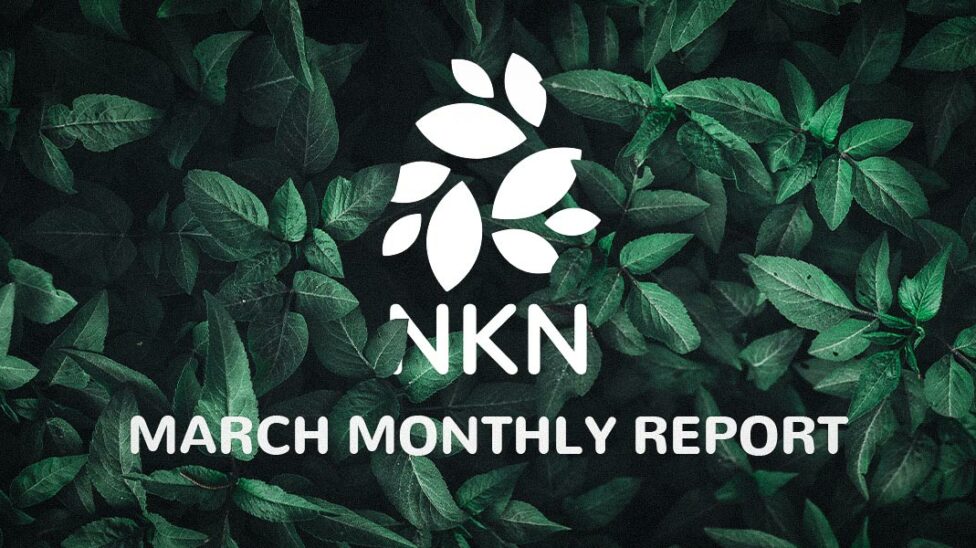 NKN monthly report March 2023