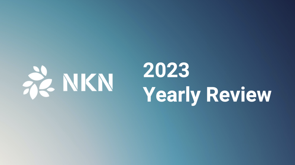 NKN Annual review 2023 main graphic