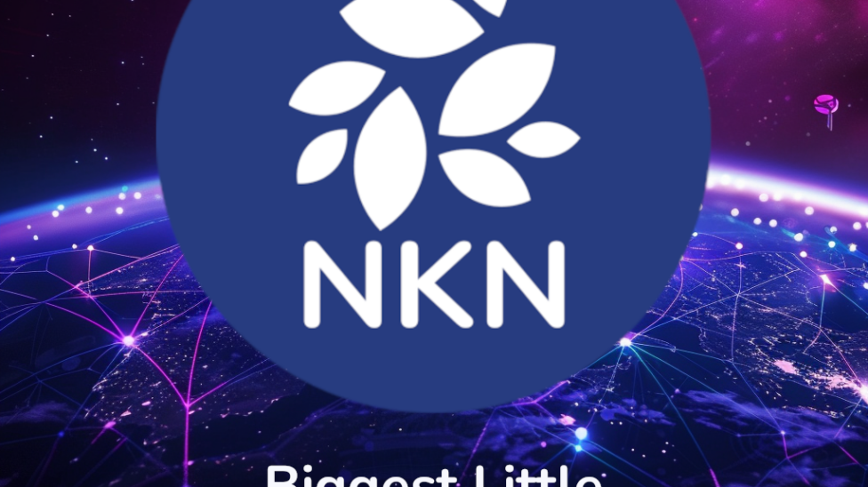 NKN - biggest little secret in DePIN